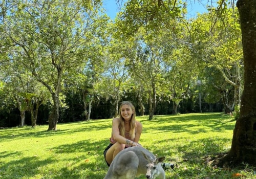 Unlocking the World: International Exchange Programs in Lincoln Park, Michigan